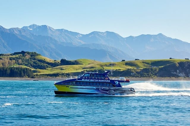 Kaikoura Whale Watch Day Tour from Christchurch - Photo 1 of 6